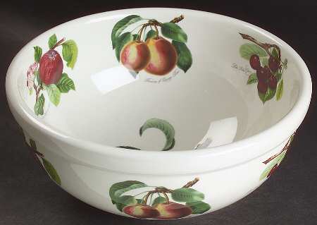 Pomona 9" Salad Serving Bowl by Portmeirion