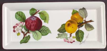 Pomona Small Sandwich Tray by Portmeirion