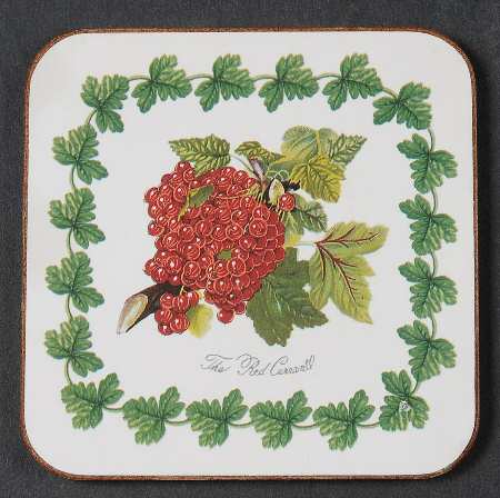 Pomona Square Cork Back Coaster with Laurel Border