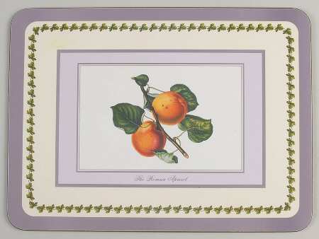 Pomona Placemat w/Corkback & Purple Border