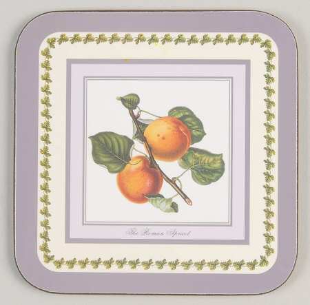 Pomona Square Coaster w/Corkback & Purple Border