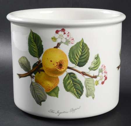 Pomona 6" Planter Pot