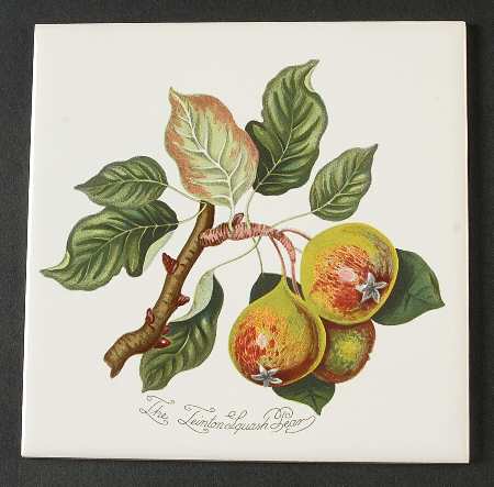 Pomona 6" Wall Tile Aka Tile Insert by Portmeirion