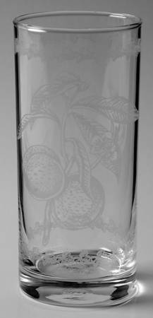 Pomona 12 Oz Glassware Etched Tumbler by Portmeirion