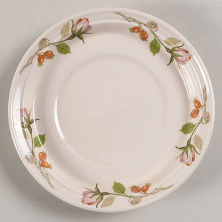 Countryside Saucer