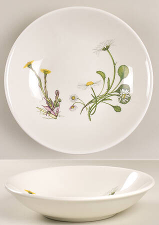 The Queen's Hidden Garden 8" Individual Pasta Bowl