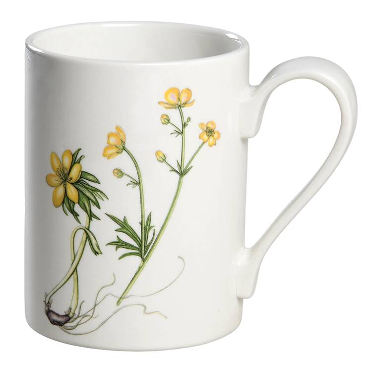 The Queen's Hidden Garden Mug