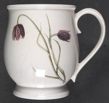 The Queen's Hidden Garden Bristol Mug