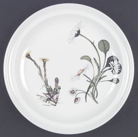 The Queen's Hidden Garden Dinner Plate