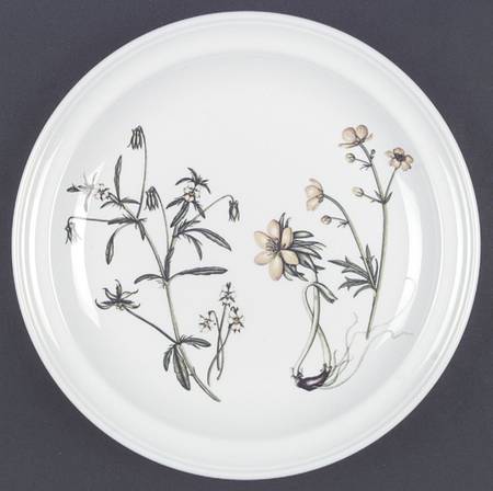 The Queen's Hidden Garden Dinner Plate by Portmeirion