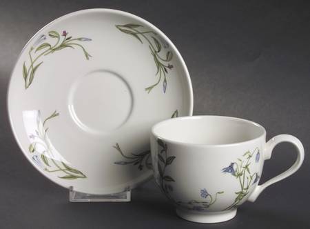 The Queen's Hidden Garden Traditional Footed Cup & Saucer Set