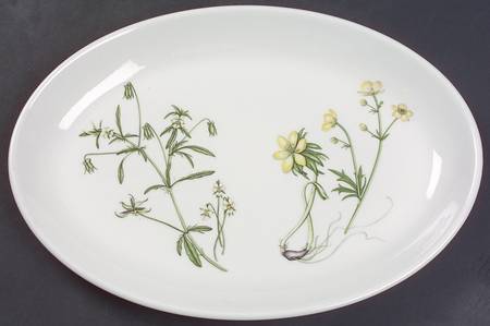 The Queen's Hidden Garden 12" Oval Steak Platter