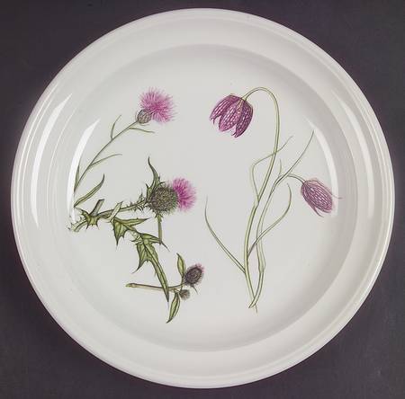 The Queen's Hidden Garden Salad Plate by Portmeirion