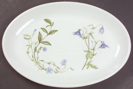The Queen's Hidden Garden 10" Oval Steak Platter