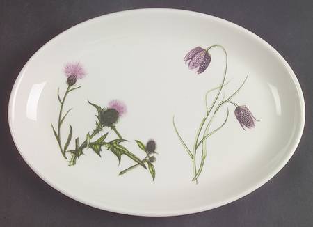 The Queen's Hidden Garden 10" Oval Steak Platter