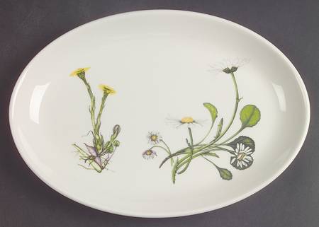 The Queen's Hidden Garden 10" Oval Steak Platter