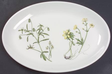 The Queen's Hidden Garden 10" Oval Steak Platter