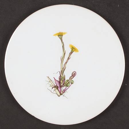The Queen's Hidden Garden Tea Tile
