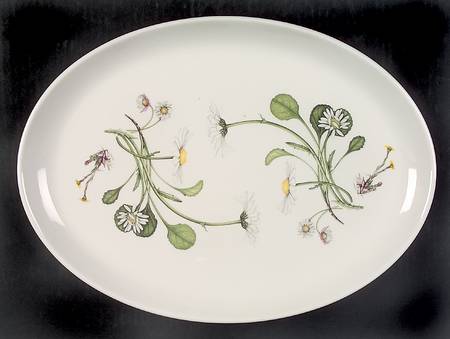 The Queen's Hidden Garden 14" Oval Steak Platter