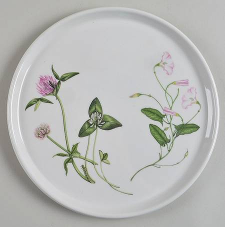 The Queen's Hidden Garden Pizza Plate