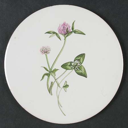 The Queen's Hidden Garden Tea Tile