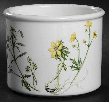 The Queen's Hidden Garden 5" Cachepot