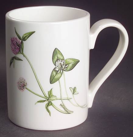 The Queen's Hidden Garden Mug
