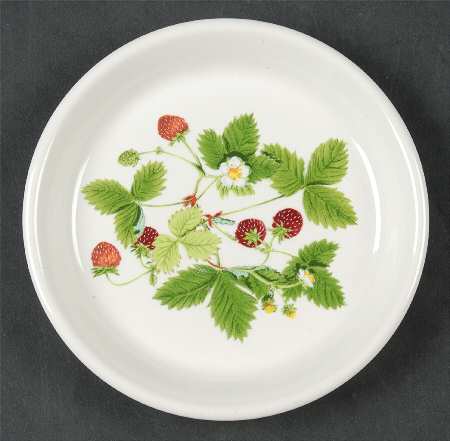 Summer Strawberries Coaster