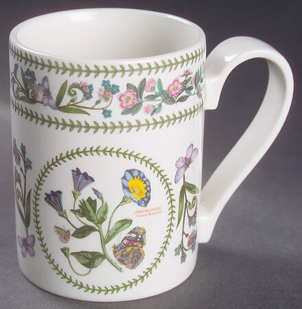 Variations Mug