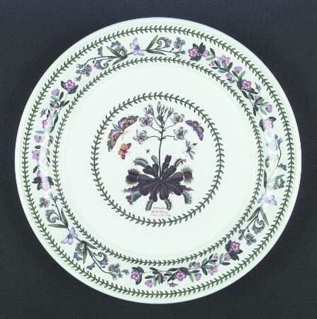 Variations Dinner Plate