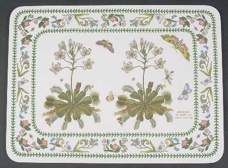 Variations Corkboard Placemat