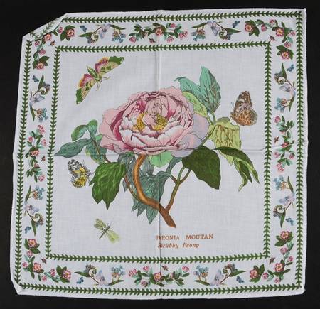 Variations Cloth Napkin