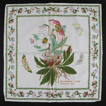 Variations Cloth Napkin