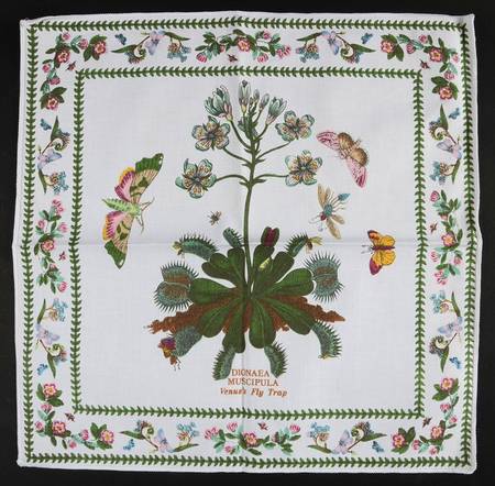 Variations Cloth Napkin