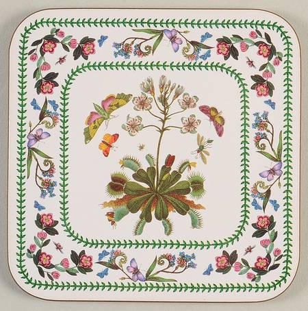 Variations Square Corkback Coaster