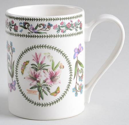 Variations Mug