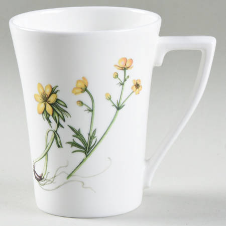 Welsh Wild Flowers Mandarin Mug