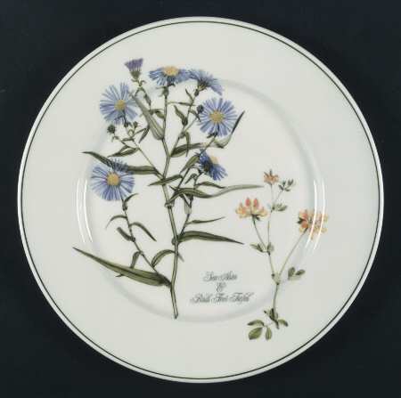Welsh Wild Flowers Dinner Plate by Portmeirion