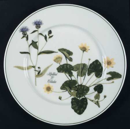 Welsh Wild Flowers Dinner Plate