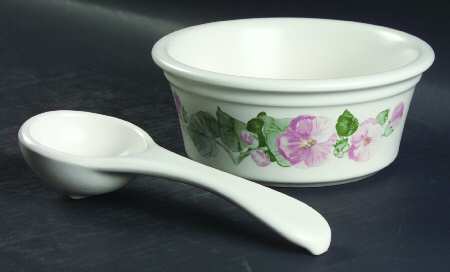 Cape May Dip/Salsa Crock & Ladle