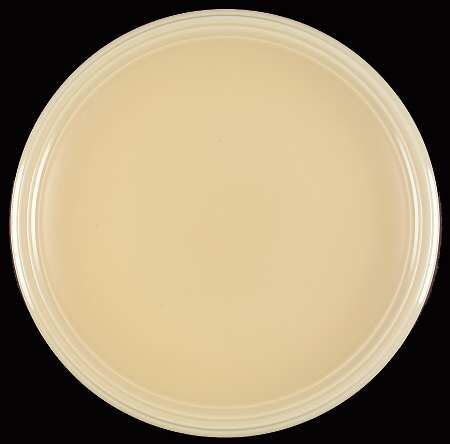 Terrace Buttercream (Yellow) 13" Chop Plate (Round Platter)