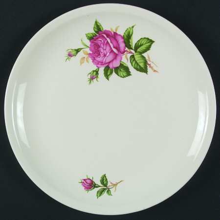 PCP101 Dinner Plate