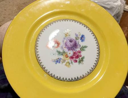 PFE33 Dinner Plate
