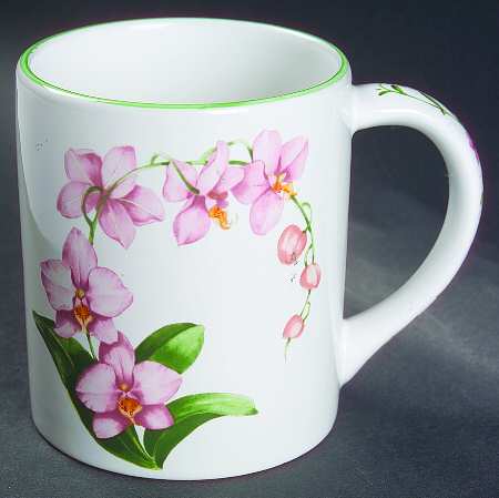 Orchids Mug
