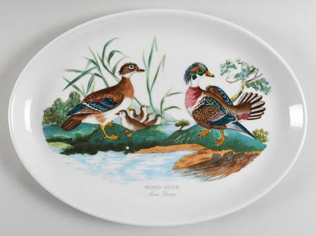Birds of Britain 13" Oval Steak Platter