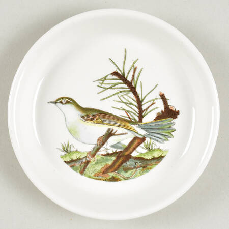 Birds of Britain Coaster