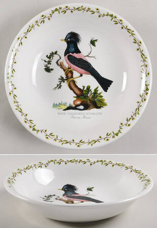 Birds of Britain 8" Individual Pasta Bowl