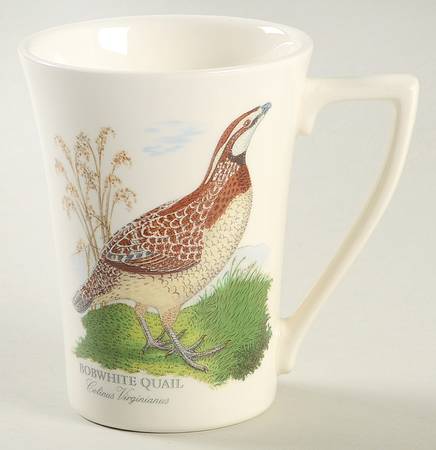 Birds of Britain Mandarin Mug