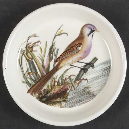 Birds of Britain Coaster