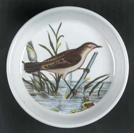 Birds of Britain Coaster